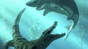 Cuộc chiến hiếm găp giữa cá sấu và cá mập, con nào chiến thắng